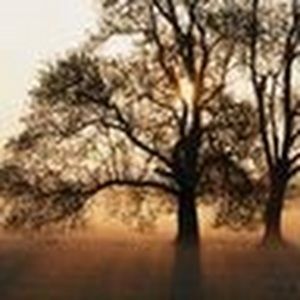 Meet your Posher, Virginia